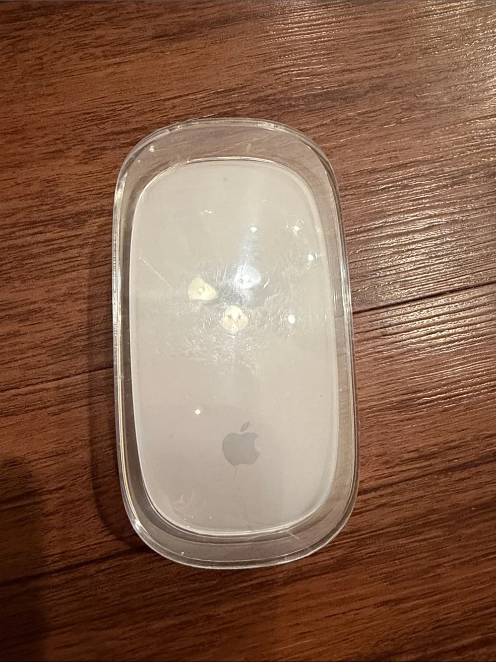 Apple White Magic Mouse with Clear Case